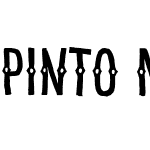 Pinto NO_04