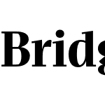Bridge Head Ext