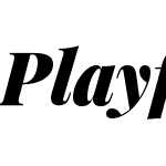 PlayfairDisplay-BlackItalic