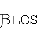 Bloser Serif