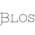 Bloser Serif