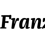 Franziska Offc Pro