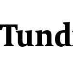 Tundra Web Pro