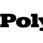 PolyphonicW01-WideBlack