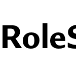 Role Sans Display