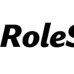 Role Sans Display