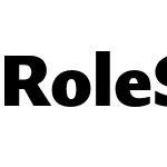 Role Sans Display