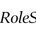 Role Serif Banner