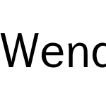 Wendelin Pro