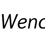 Wendelin Pro