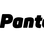 Panton Heavy Italic