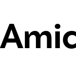 Amica Pro