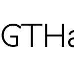 GTHaptikLight