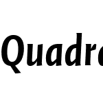 QuadraatSansWebPro-CondBoldItaW01