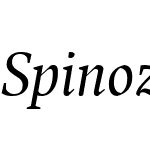 SpinozaWebPro-ItalicW01-Rg
