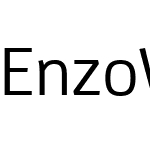 EnzoWebPro-MediumW01-Rg