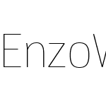 EnzoWebPro-ThinW01-Regular