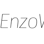 EnzoWebPro-ThinItalicW01-Rg