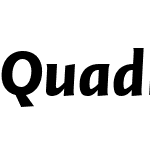 QuadraatSansWebW03-BlackIt