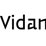 Vidange Pro Medium