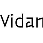 Vidange Pro Light