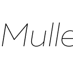 Muller Thin Italic