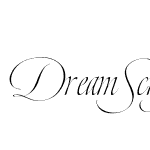 DreamScriptStandard