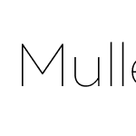 MullerThin