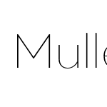 MullerThin