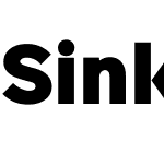 Sinkin Sans Narrow 900 X Black