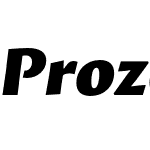 Proza Black Italic