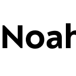 Noah Head