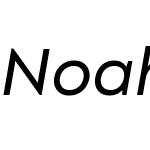 Noah Head