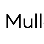 MullerRegular