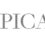 Picara