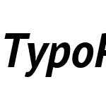 TypoPRO PT Sans