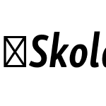 SkolarSansLatnCp-BdIt