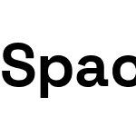 Space Grotesk