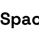 Space Grotesk