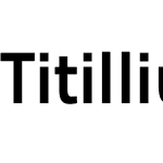 TitilliumMaps29L