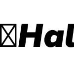 Halcom-BlackItalic