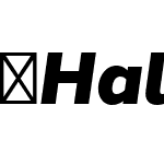 Halcom-BlackItalic