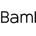 Bambino New