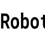 RobotoJ Mono