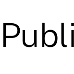 Public Sans