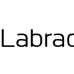 Labrador B