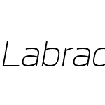 Labrador B ExtLt