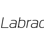 Labrador B Light