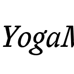 Yoga Mobi Pro