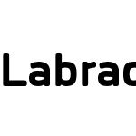 Labrador B ExtBd